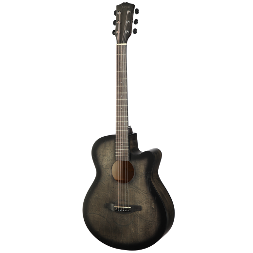 Shinobi D-1 WT (3)