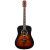 Shinobi S-81